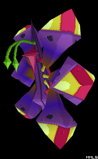 Bal Kacche (Moth)