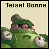 Teisel Bonne Look